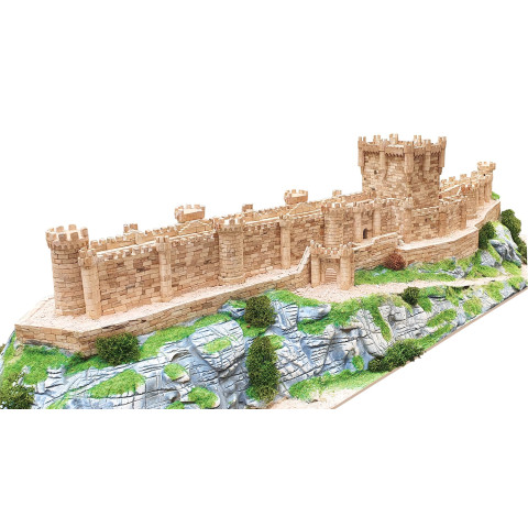 Castillo de Peñafiel  -1017