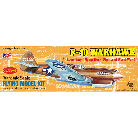 P-40 Warhawk -501