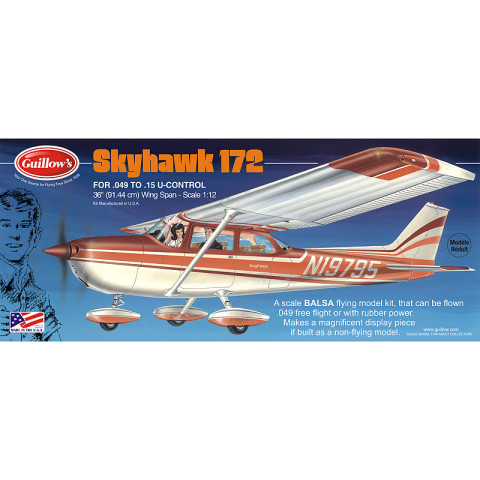 Cessna Skyhawk 172 -802