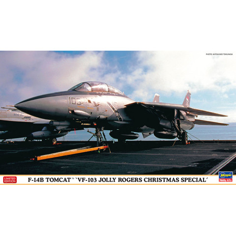 F-14B TOMCAT™ “VF-103 JOLLY ROGERS CHRISTMAS SPECIAL -02391