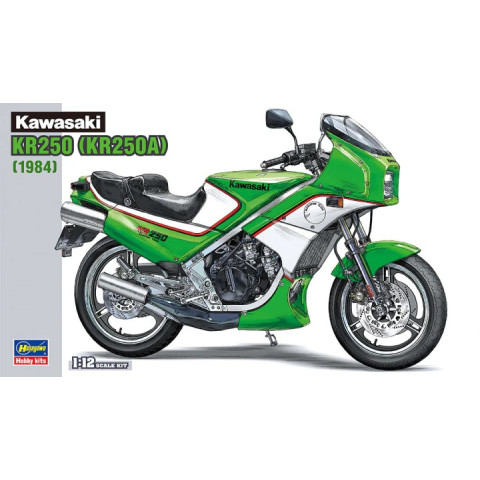 BK12 Kawasaki KR250 KR250A 1984 -21512