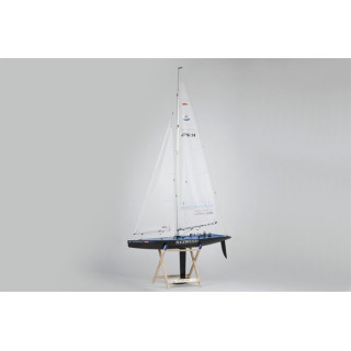 Seawind Racing Yacht Carbon -40463S
