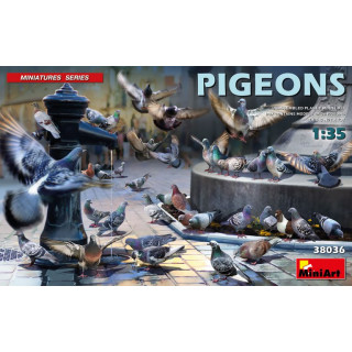 PIGEONS -38036