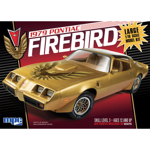 1979 Pontiac Firebird -862