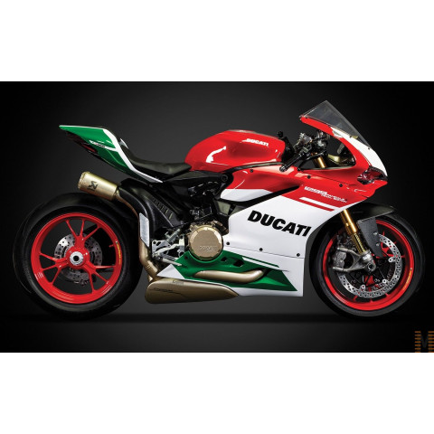 Ducati 1299 Pannigale R Final Edition -PCHK117