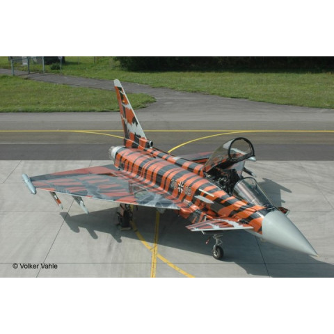 Eurofighter "Bronze Tiger" -03949