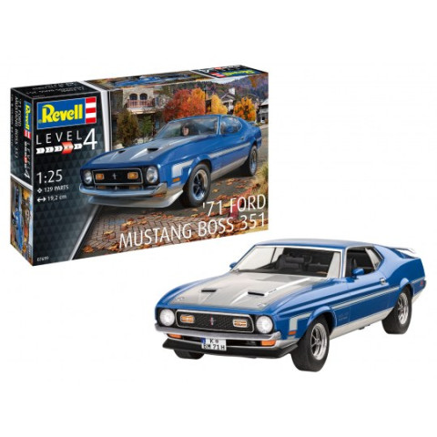 1971 Mustang Boss 351 -07699