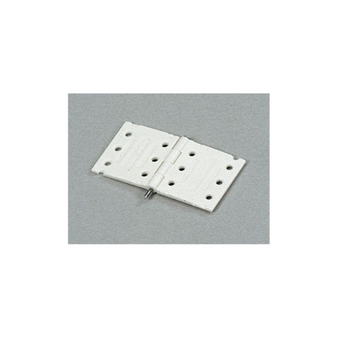 Nylon Scharnier & steel pin Extra Sterk 25 mm / 10pcs -S100-341-0