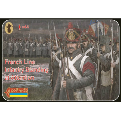 French Line Infantry Standing At Attention -184