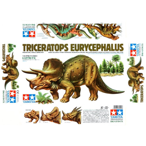 Triceratops Eurycephalus  Prehistoric World Series NO.1 -60201