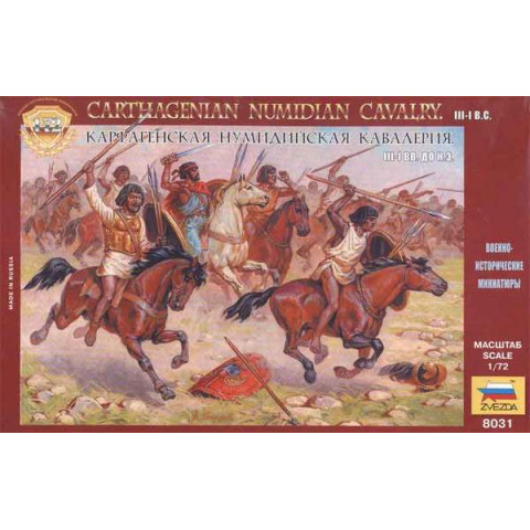 Carthagenian Numidian Cavalry -8031